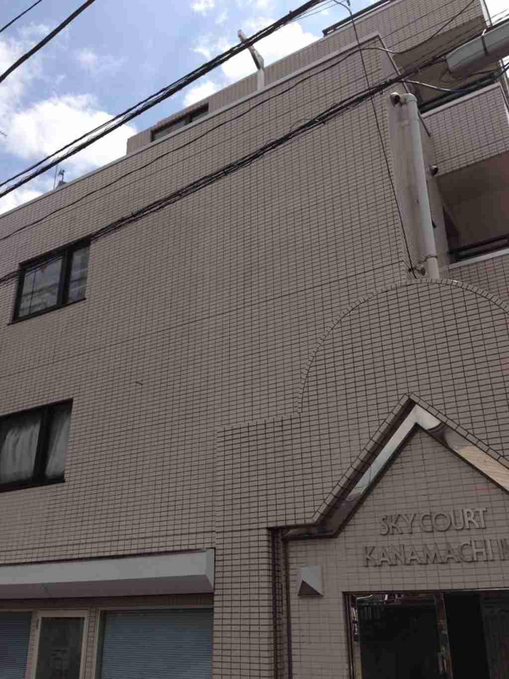 スカイコート金町4の外観