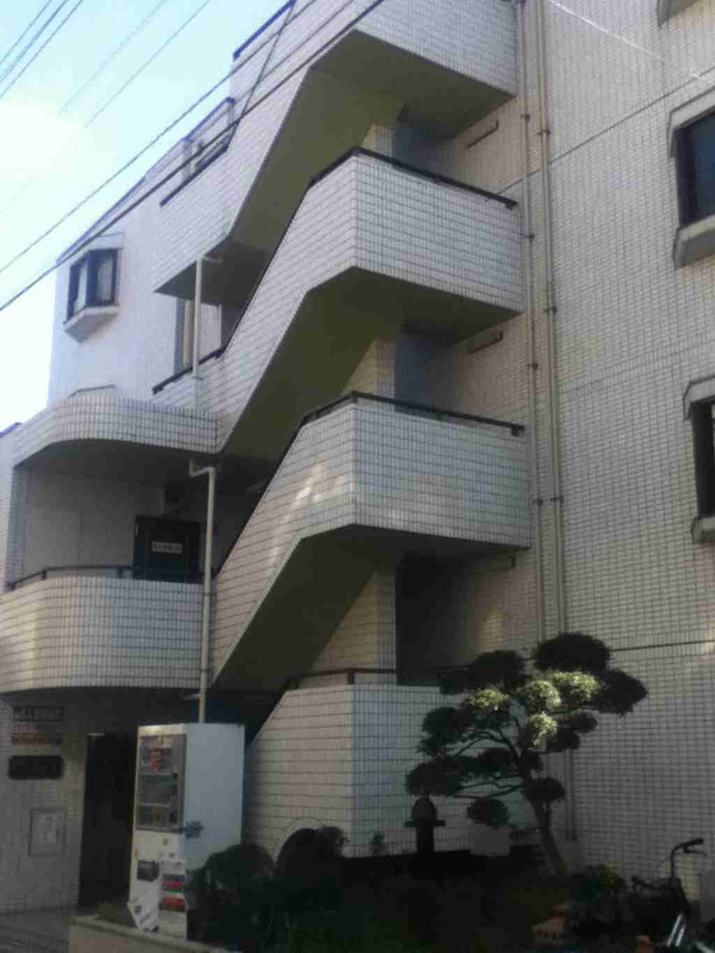 スカイコート向島2の外観