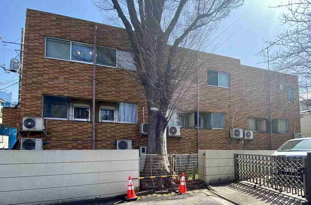 スカイコート駒沢の外観