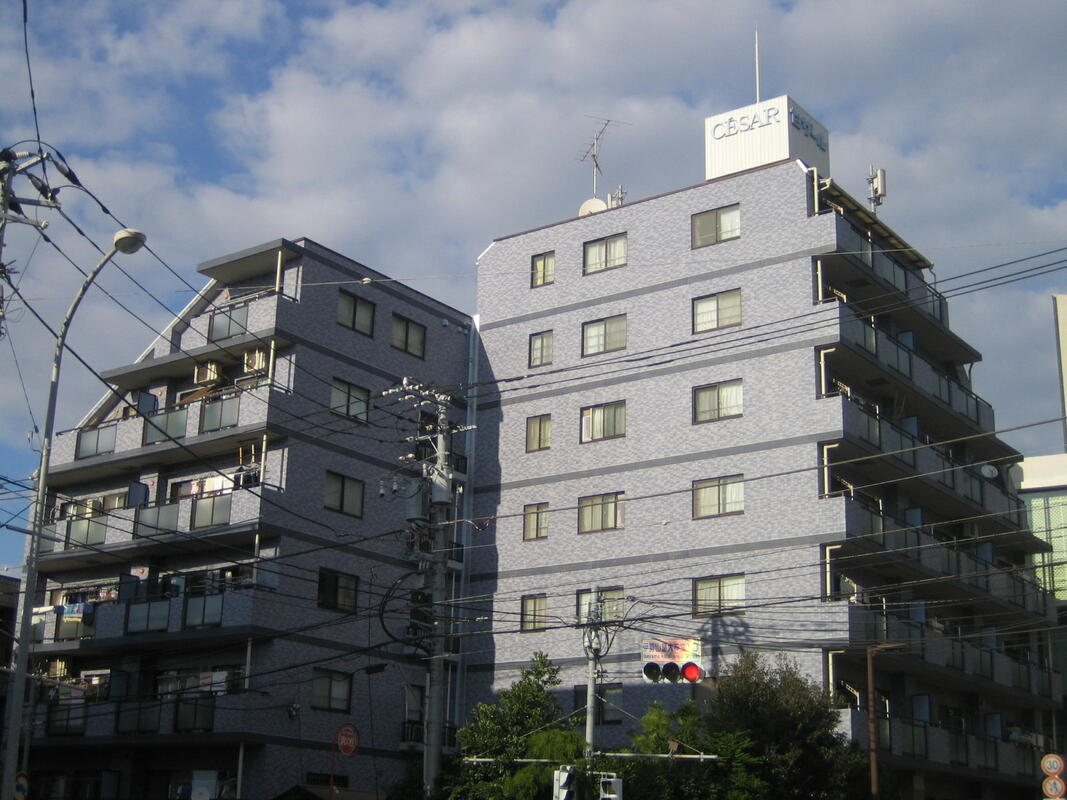 セザール桜木町の外観