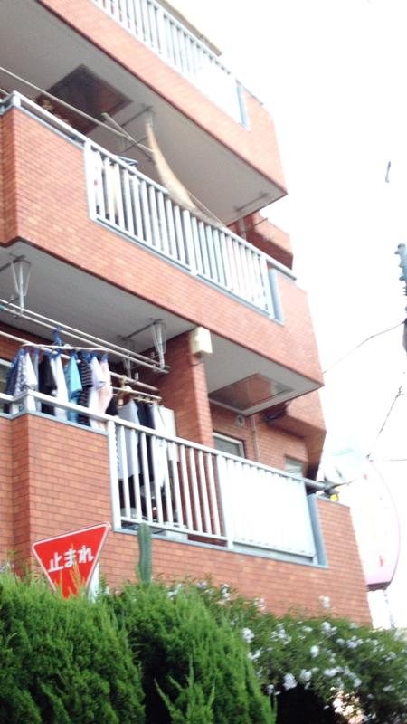 太閤江古田マンションの外観