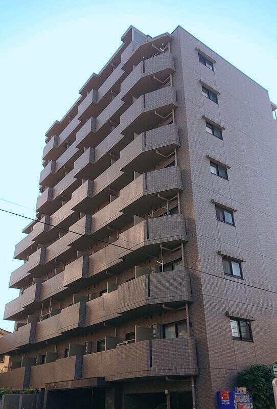 ルーブル蓮根の外観