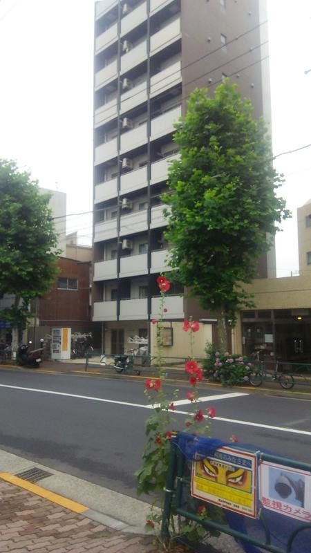 AXAS 新宿中落合の外観